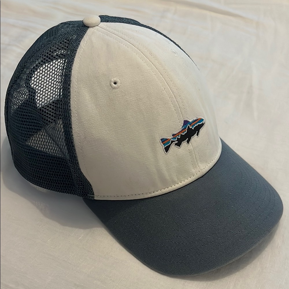 Patagonia Trucker Hat